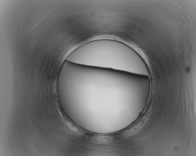 X0000091470953200708161125
