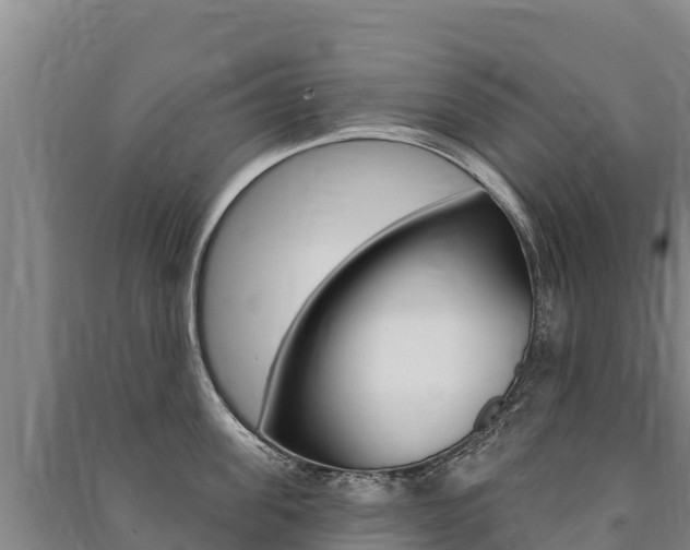 X0000091470955200708161125