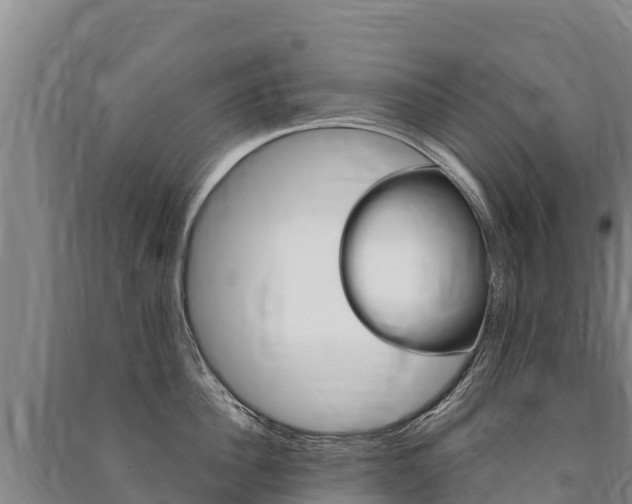 X0000091470956200708161125