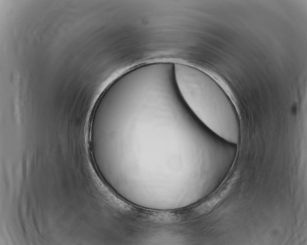 X0000091470957200708161125