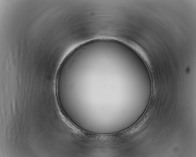 X0000091470958200708161125