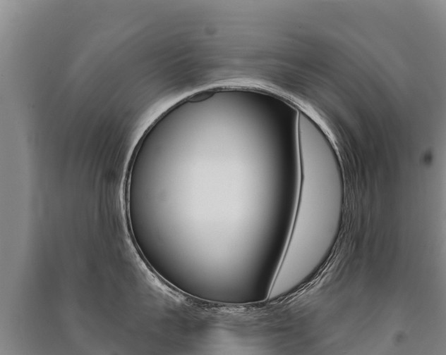X0000091470959200708161125