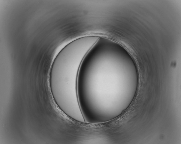 X0000091470960200708161125