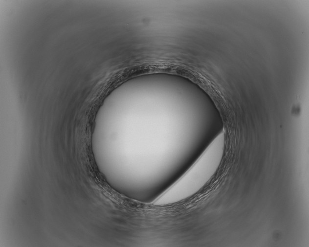 X0000091470961200708161125
