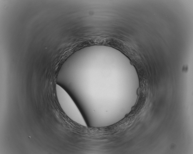 X0000091470962200708161125
