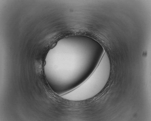 X0000091470963200708161125