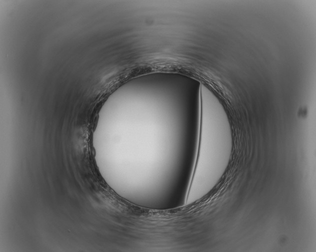 X0000091470964200708161125