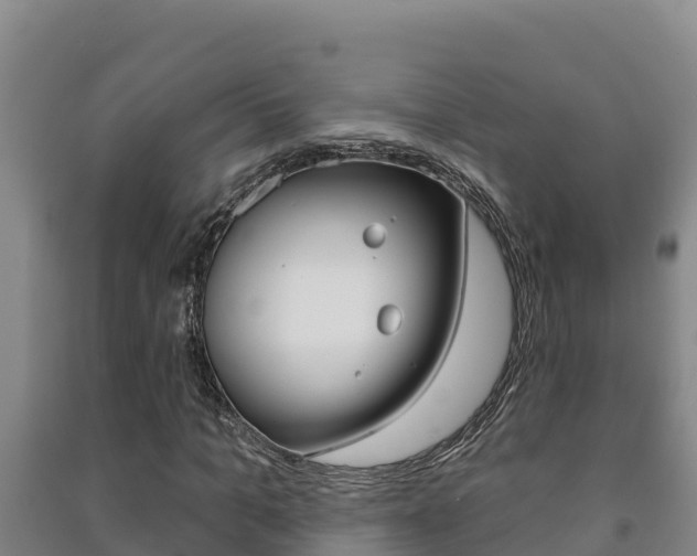 X0000091470965200708161125