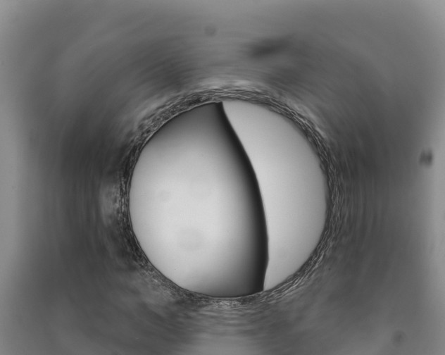 X0000091470966200708161125