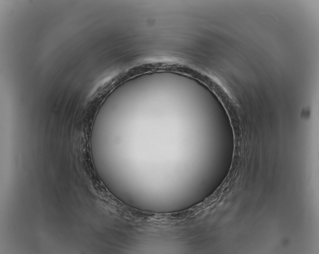 X0000091470967200708161124