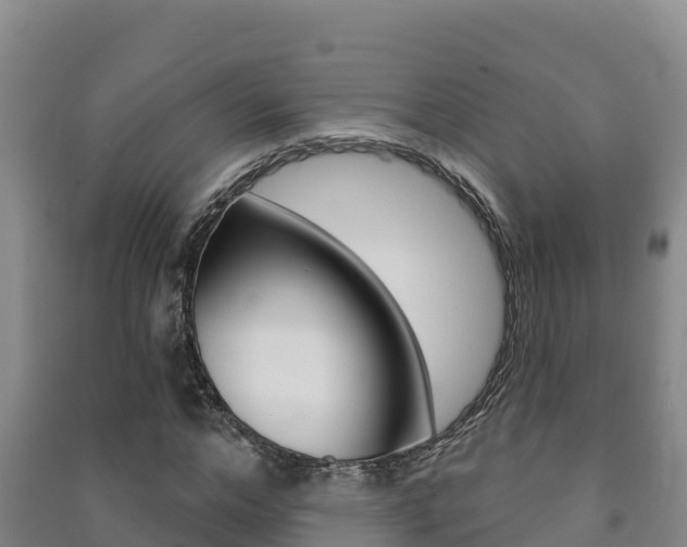 X0000091470968200708161124