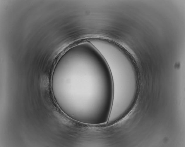 X0000091470969200708161124