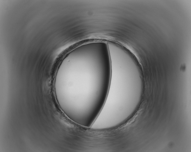 X0000091470971200708161124