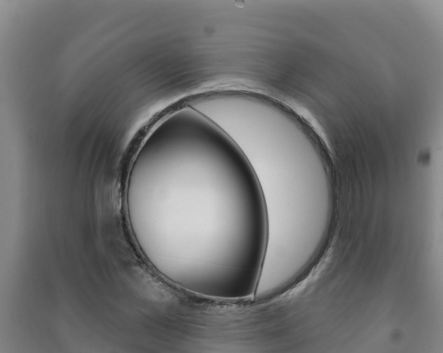X0000091470973200708161124