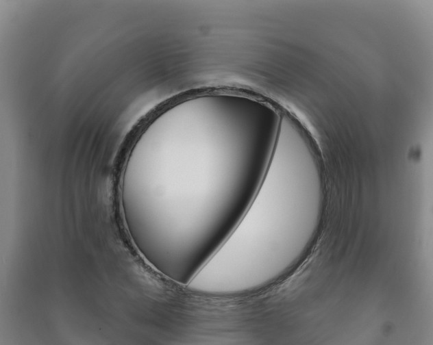 X0000091470975200708161124