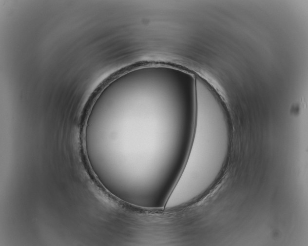 X0000091470976200708161124
