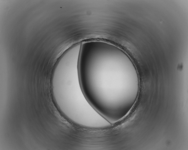 X0000091470977200708161124