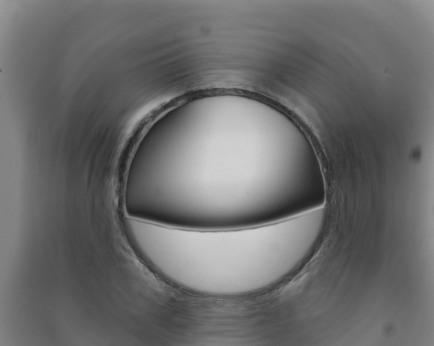 X0000091470979200708161124