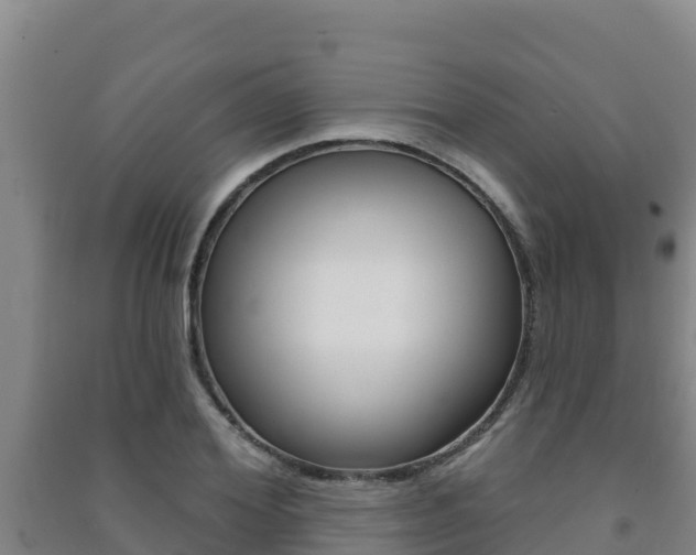 X0000091470980200708161124