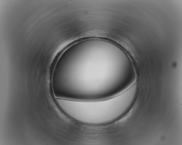 X0000091470981200708161124