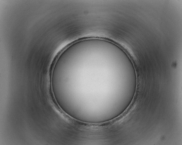 X0000091470982200708161124
