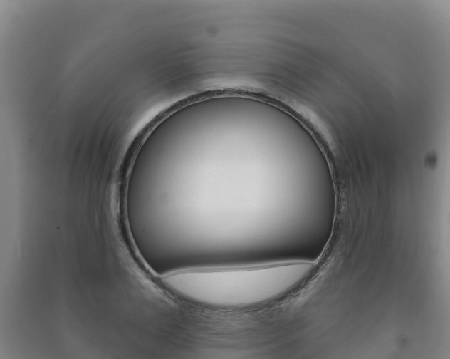 X0000091470983200708161124