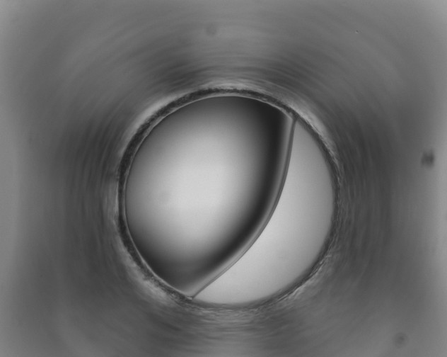 X0000091470984200708161124