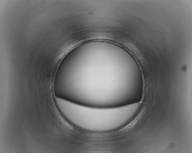 X0000091470985200708161124