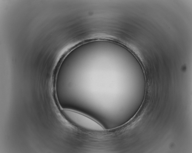 X0000091470987200708161124