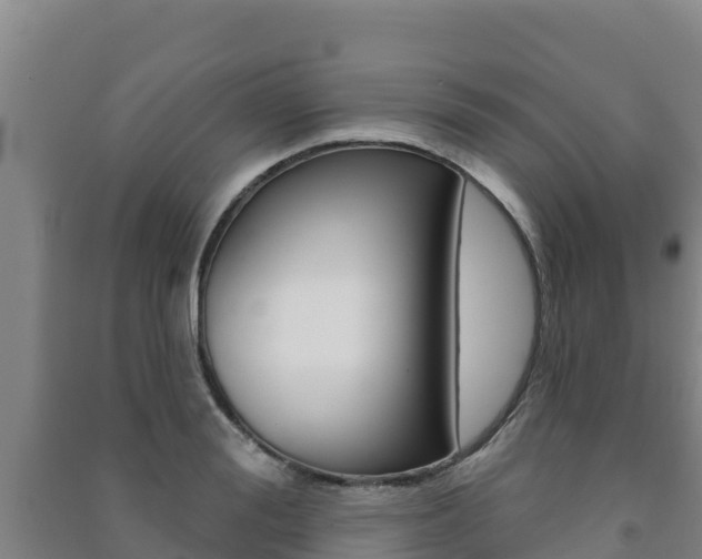 X0000091470988200708161124
