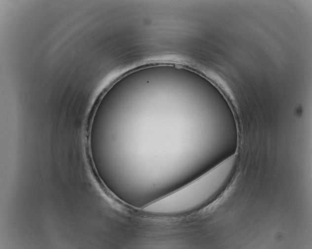 X0000091470989200708161124