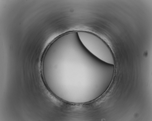 X0000091470990200708161124