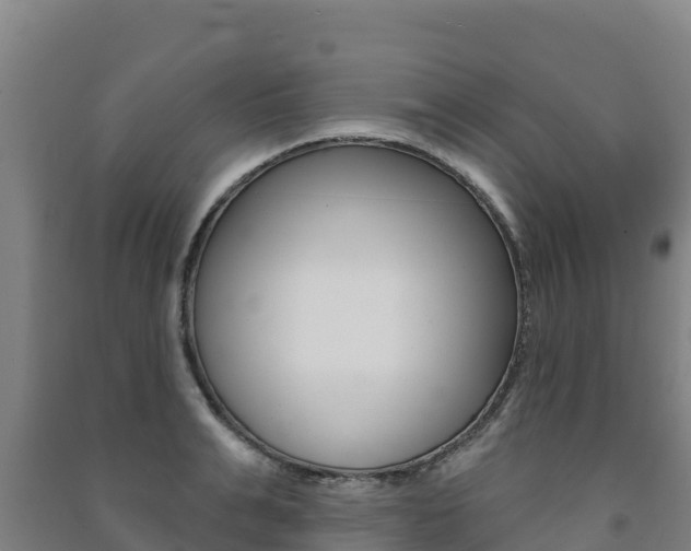 X0000091470991200708161124