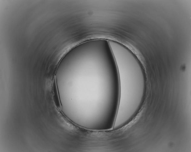 X0000091470993200708161124