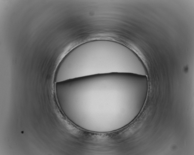 X0000091470994200708161124