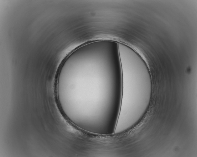 X0000091470995200708161124