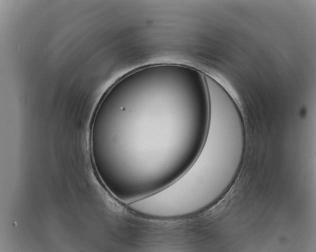 X0000091470996200708161124