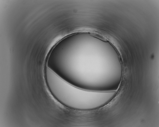X0000091470997200708161124