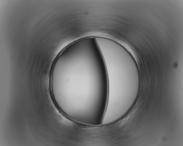 X0000091470999200708161124