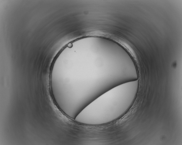 X0000091471000200708161124