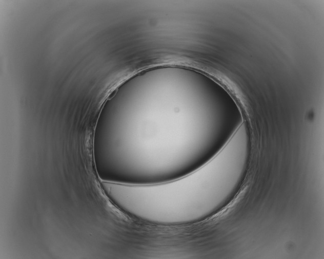 X0000091471001200708161124