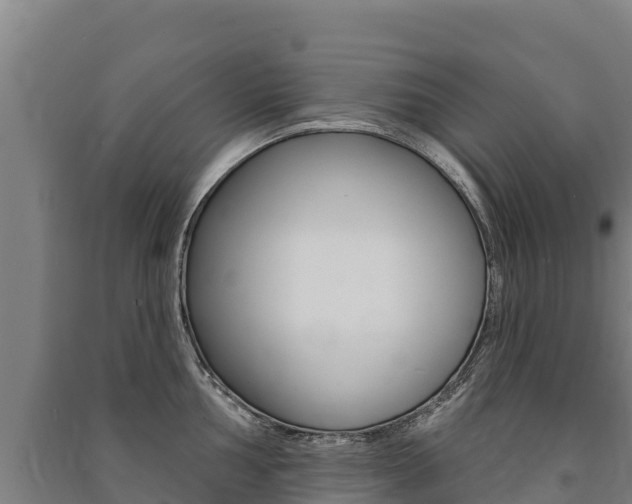 X0000091471002200708161124