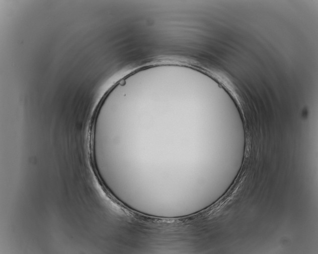 X0000091471003200708161124