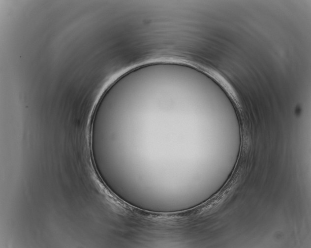 X0000091471004200708161124