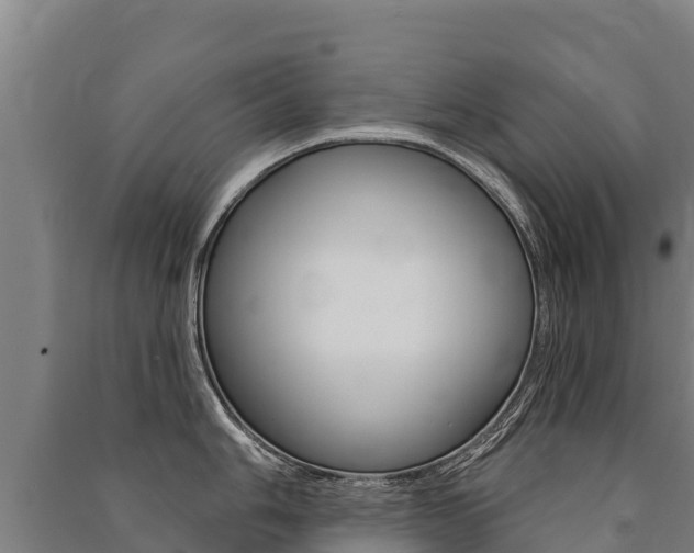 X0000091471006200708161124