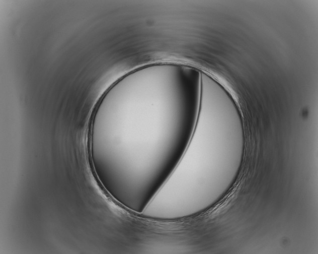 X0000091471007200708161124