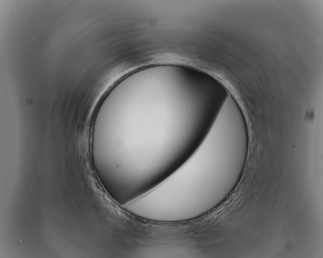 X0000091471008200708161124