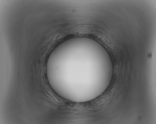 X0000091471009200708161123