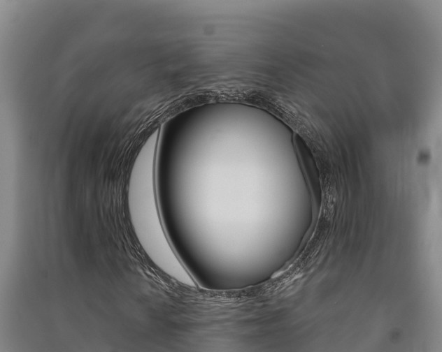 X0000091471010200708161123