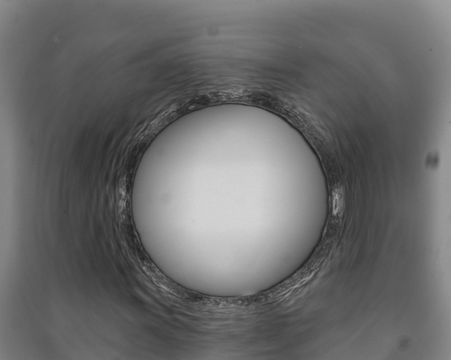 X0000091471011200708161123